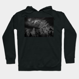 Dramatic clouds in the sky over the dark Swedish forest Hoodie